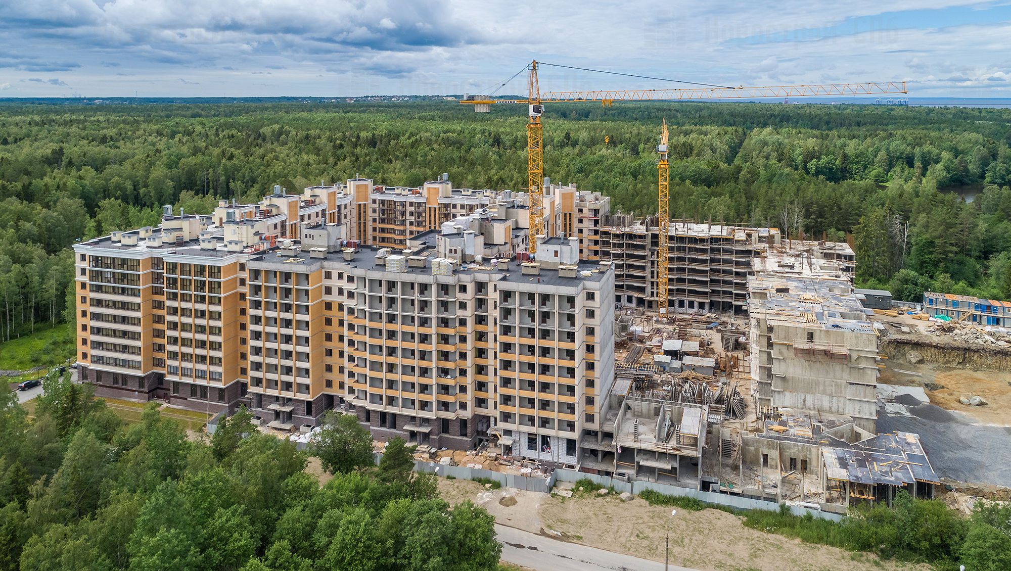 Жк ломоносов. ЖК Ломоносов Петрострой. ЖК Ломоносов СПБ. ЖК Ломоносов Ижевск. Дольщики ЖК Ломоносов Петрострой.